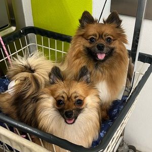 Meet your Posher, Sonia